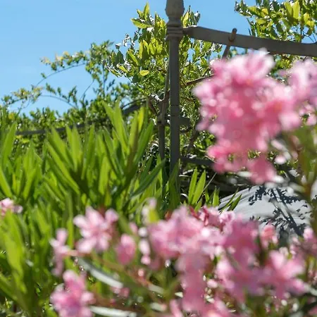 Les Maisons Du Sud Ξενοδοχείο με διαμερίσματα Ramatuelle