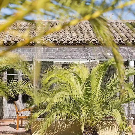 Les Maisons Du Sud